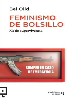 cover image of Feminismo de bolsillo